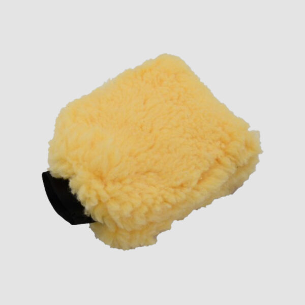 Car Wash Mitt